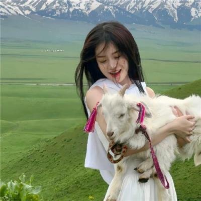 美国派3:美国婚礼在线观看